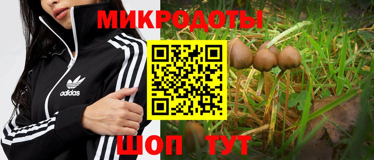 наркошоп  Псилоцибиновые грибы GOLDEN TEACHER  Вход с VPN  Воскресенск 