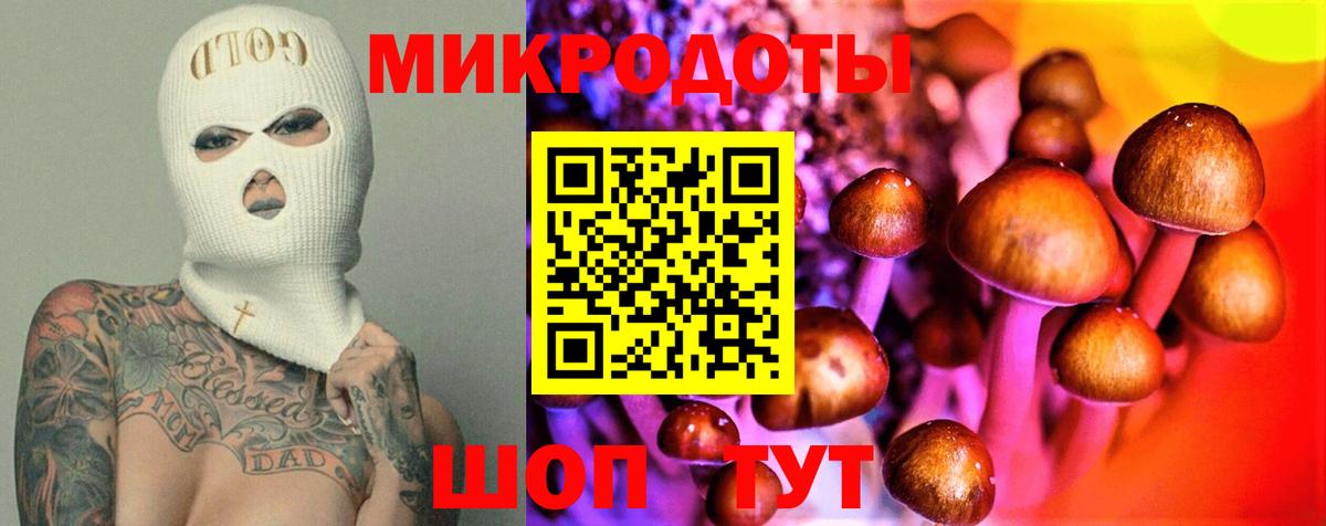 Галлюциногенные грибы Cubensis Воскресенск